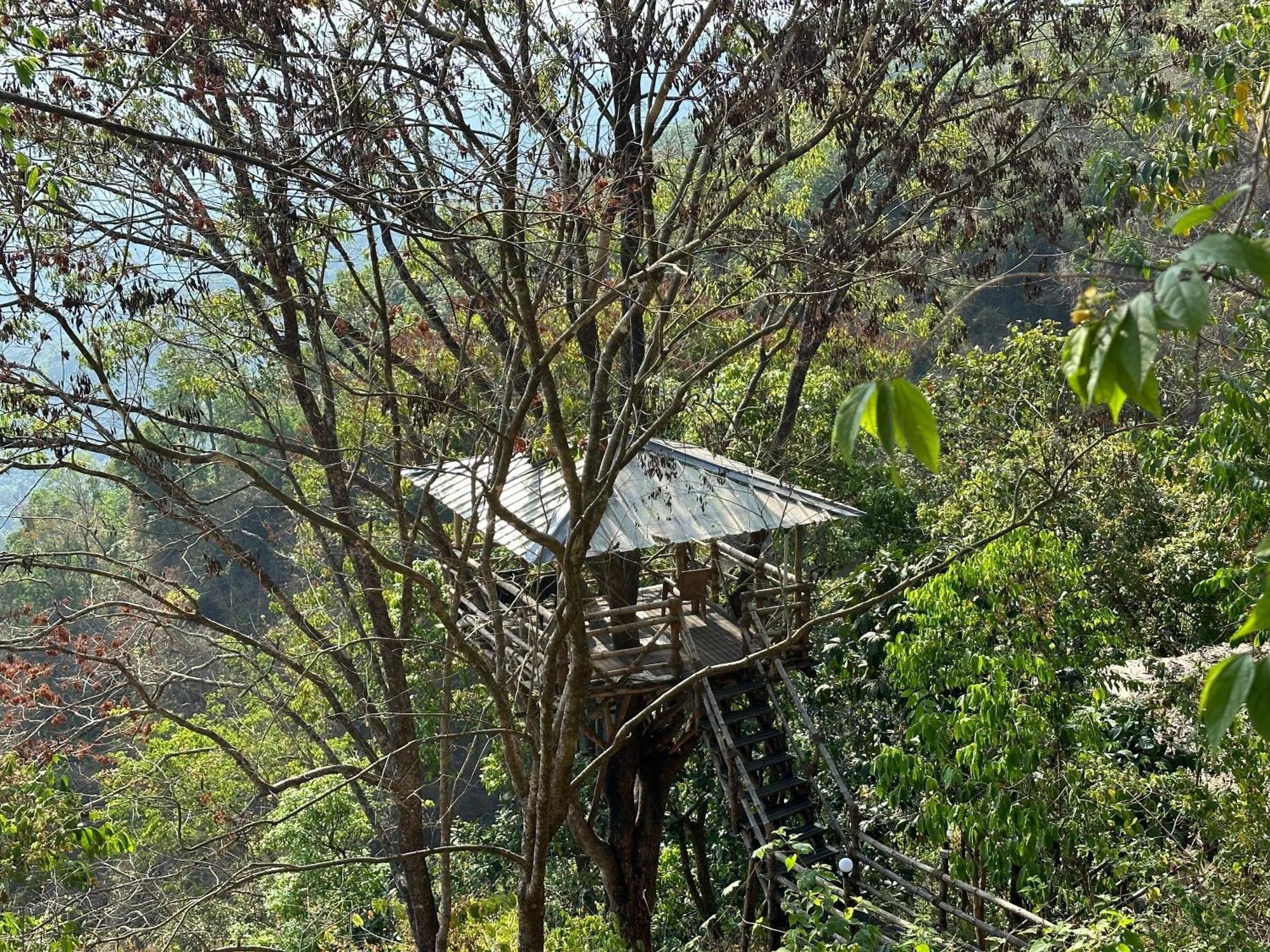 Sunset Valley Kerala Pool Resort - Serene Natural Forest Cottage Stay In Idukki With Sunrise & Sunset Panoramas, Natural Streams & Tranquil Summer Evenings Pirmed Luaran gambar