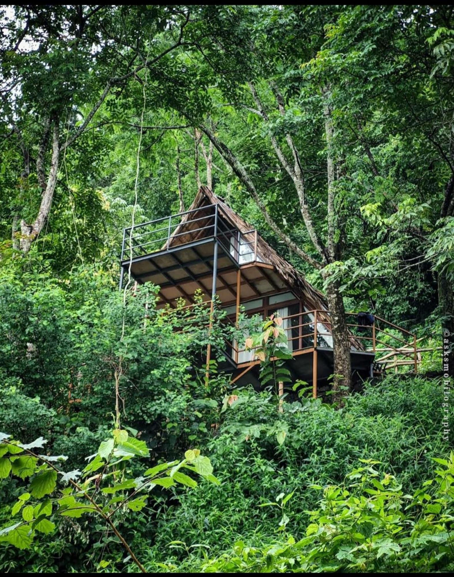 Sunset Valley Kerala Pool Resort - Serene Natural Forest Cottage Stay In Idukki With Sunrise & Sunset Panoramas, Natural Streams & Tranquil Summer Evenings Pirmed Luaran gambar