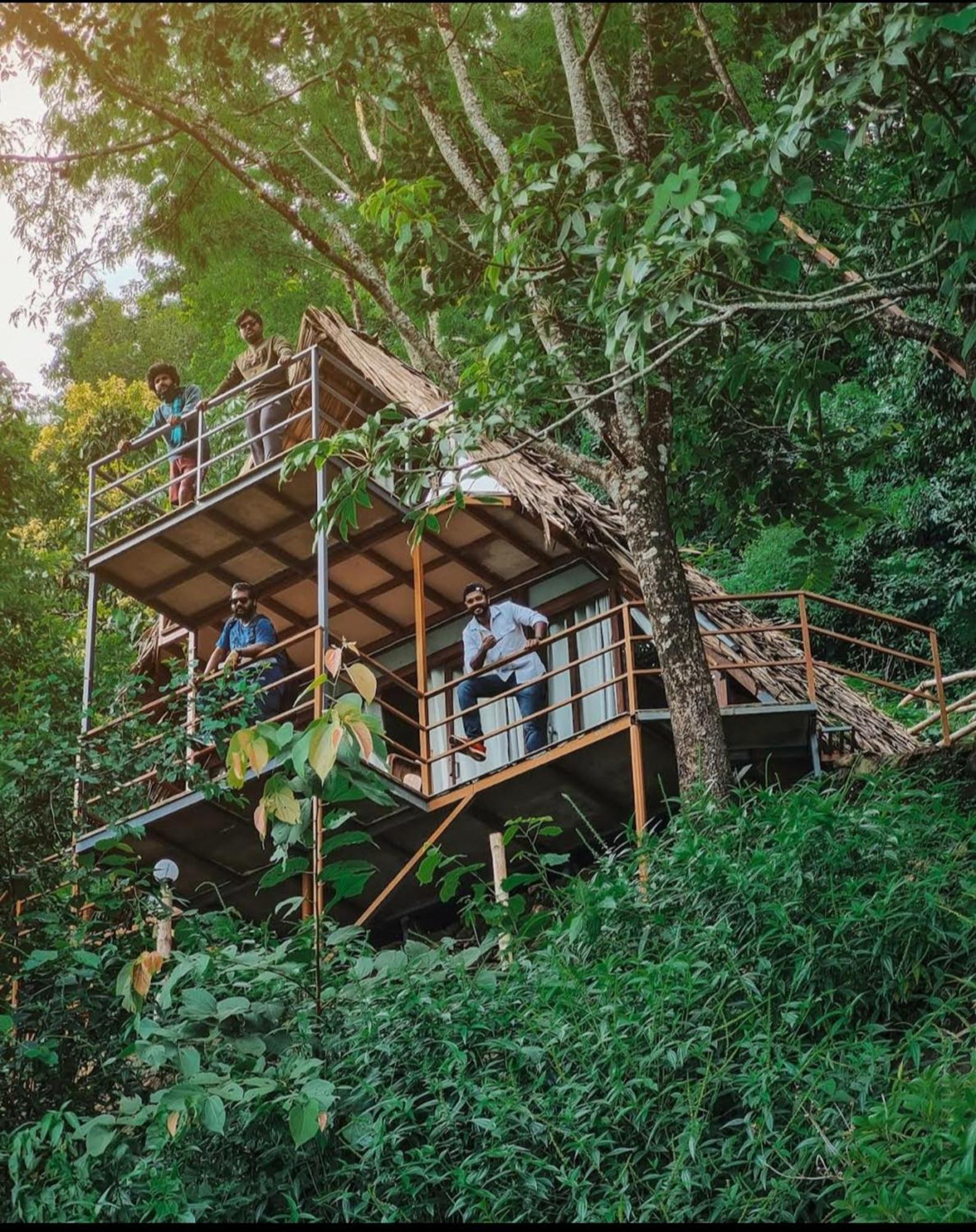 Sunset Valley Kerala Pool Resort - Serene Natural Forest Cottage Stay In Idukki With Sunrise & Sunset Panoramas, Natural Streams & Tranquil Summer Evenings Pirmed Luaran gambar