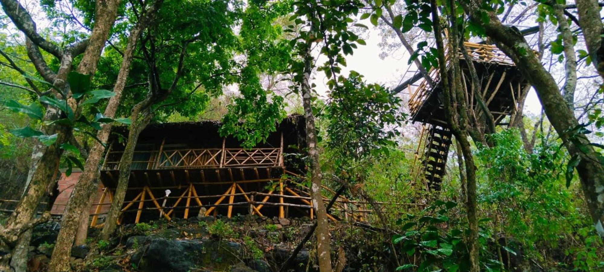 Sunset Valley Kerala Pool Resort - Serene Natural Forest Cottage Stay In Idukki With Sunrise & Sunset Panoramas, Natural Streams & Tranquil Summer Evenings Pirmed Luaran gambar